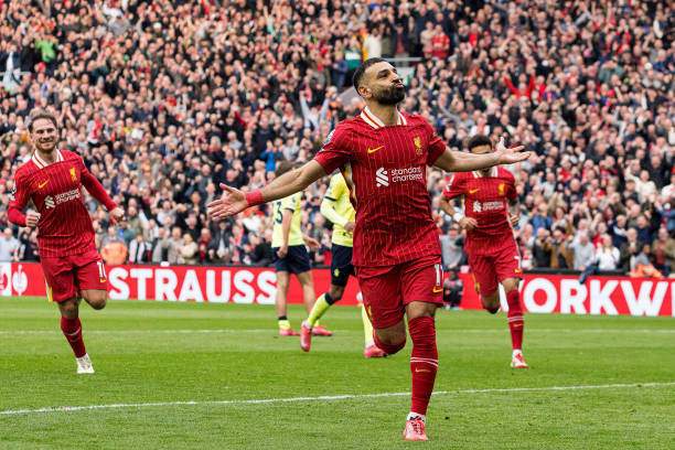 引入到羽毛 引入到羽毛